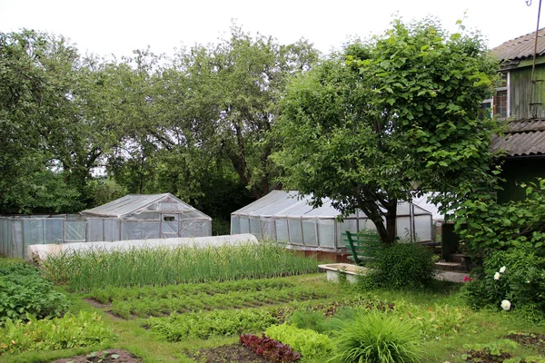 ülke siteleri ellerine ile Sebze tarımı