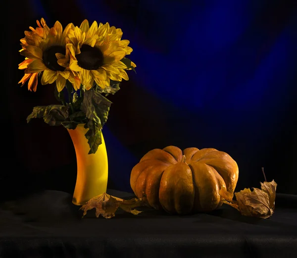 Kabak ve ayçiçeği