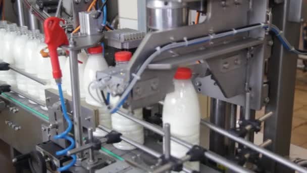 The production of dairy products — Stock Video