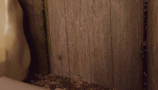 Tahta duvarlı küçük oda 3D tasarım ve Shelv dekorasyonlu sıcak ışık 