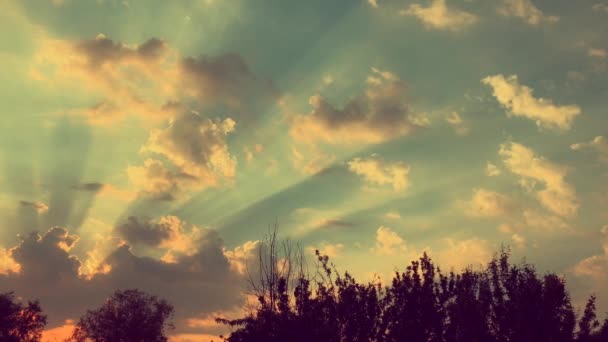 Puesta Sol Entre Los Árboles Rayos Luz Atraviesan Las Nubes — Vídeo de stock