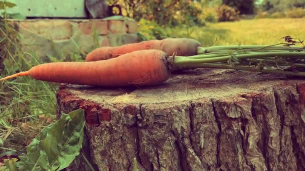 Cortando Topos Verduras Raiz Cenouras Com Machado — Vídeo de Stock