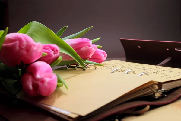 Livro Aberto Tulipa Flor — Fotografia de Stock