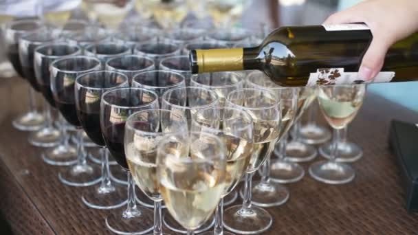O garçom derrama vinho tinto nas fileiras de copos no festival — Vídeo de Stock