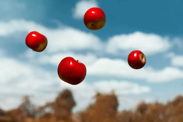 Mogna äpplen i tyngdlöshet som kastas i luften — Stockfoto