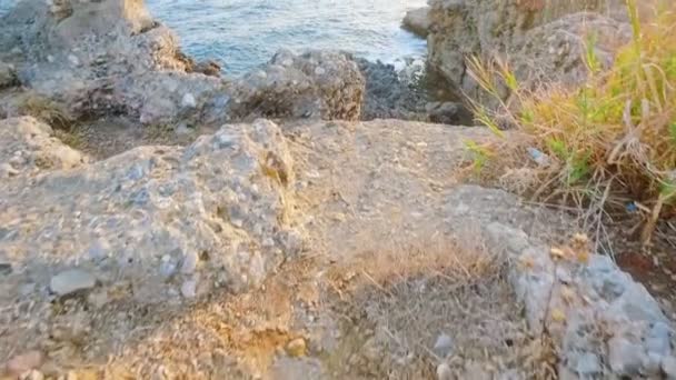 多岩石的海岸，拍照的人 — 图库视频影像