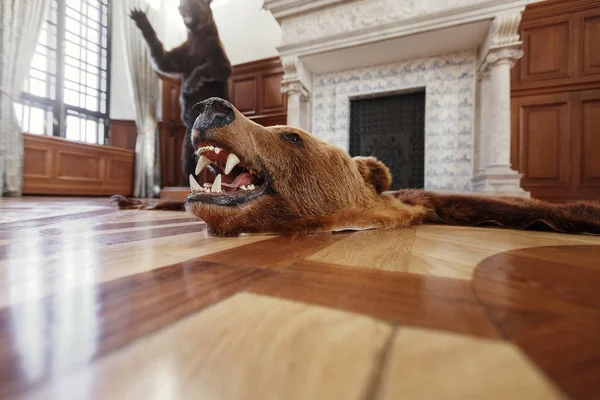 Scarecrow killed a bear on the floor — Stock Photo, Image