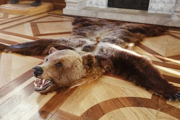 Scarecrow killed a bear on the floor — Stock Photo, Image