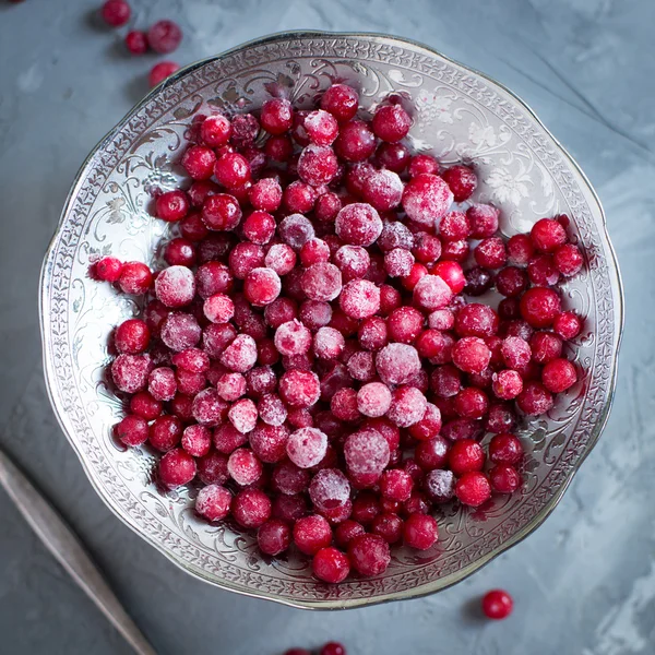Kızılcık hoarfrost metal plaka gri beton zemin üzerine içinde donmuş