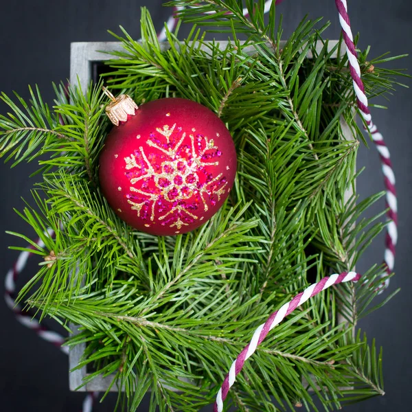 Bola roja de Navidad con un árbol de Navidad fresco en una caja de madera — Foto de Stock