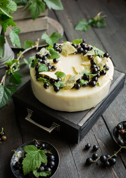 Moderner Moussekuchen — Stockfoto