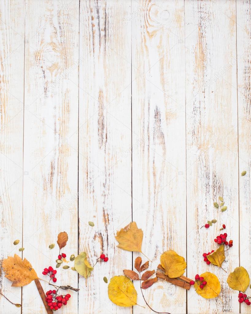Autumn background with pumpkin pie