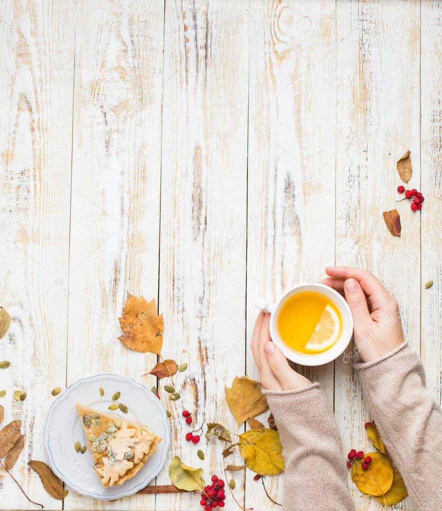 Autumn background with pumpkin pie