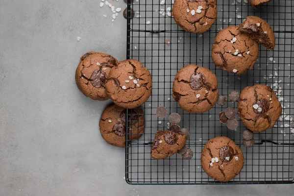 Koyu çikolata ve deniz pembe Himalaya tuzu gri beton zemin üzerine çikolatalı kurabiye. En iyi kahverengi tereyağı kurabiye. Günaydın! Düz yatıyordu, en iyi görünümü