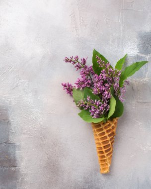 Dondurma külahı gri beton zemin üzerine Lila dalları ile. Taze çiçekler. güzel bir buket çiçek. Uzay kopyalayın. Metin için boş yer yer görüntüleyin. Gıda Fotoğraf elleri olan. Düz yatıyordu, en iyi görünümü