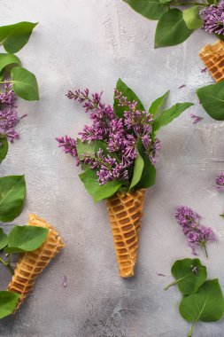 Dondurma külahı gri beton zemin üzerine Lila dalları ile. Taze çiçekler. güzel bir buket çiçek. Uzay kopyalayın. Metin için boş yer yer görüntüleyin. Gıda Fotoğraf elleri olan. Düz yatıyordu, en iyi görünümü