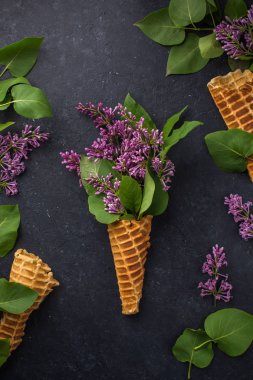 Dondurma külahı siyah bir beton zemin üzerine Lila dalları ile. Taze çiçekler. güzel bir buket çiçek. Uzay kopyalayın. Metin için boş alan görüntüleyin. Metin için yer. Gıda fotoğraf. Düz yatıyordu, en iyi görünümü