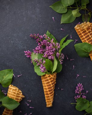 Dondurma külahı siyah bir beton zemin üzerine Lila dalları ile. Taze çiçekler. güzel bir buket çiçek. Uzay kopyalayın. Metin için boş alan görüntüleyin. Metin için yer. Gıda fotoğraf. Düz yatıyordu, en iyi görünümü