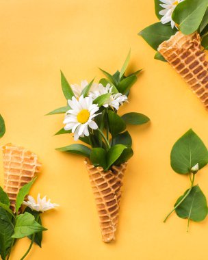 Buket sarı yaz parlak zemin üzerine chamomiles. Taze çiçekler. kır çiçekleri güzel buket. Uzay kopyalayın. Metin için yer. Gıda fotoğraf. Düz metin için yatıyordu, en iyi view.space