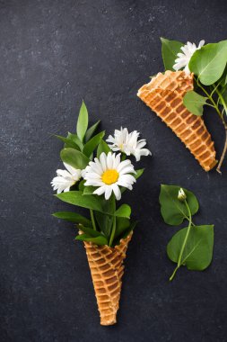 Dondurma külahı chamomiles siyah bir beton zemin üzerine buket. Taze çiçekler. kır çiçekleri güzel buket. Uzay kopyalayın. Metin için yer. Gıda Fotoğraf elleri olan. Düz yatıyordu, en iyi görünümü