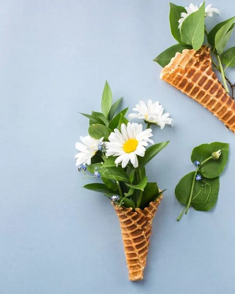 Dondurma külahı chamomiles mavi yaz parlak arka plan üzerinde buket. Taze çiçekler. kır çiçekleri güzel buket. Uzay kopyalayın. Metin için yer. Gıda fotoğraf. Düz metin için yatıyordu, en iyi view.space