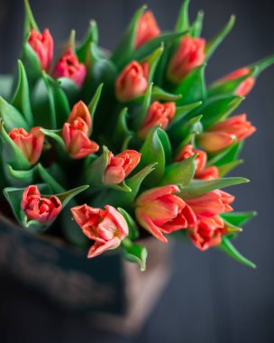 Bir kağıt torba koyu ahşap bir arka plan üzerinde kırmızı lale buketi. Bahar! Tazelik! Güzel bir buket çiçek. Metin için yer. Kartı orijinal arka plan veya kart. Vintage ülke rustik tarzı