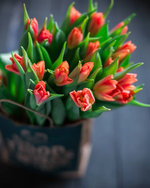 Bir kağıt torba koyu ahşap bir arka plan üzerinde kırmızı lale buketi. Bahar! Tazelik! Güzel bir buket çiçek. Metin için yer. Kartı orijinal arka plan veya kart. Vintage ülke rustik tarzı