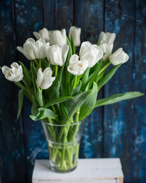 Ahşap mavi arka plan üzerinde cam vazoda Beyaz Lale buketi. Bahar! Tazelik! Güzel buket çiçek.