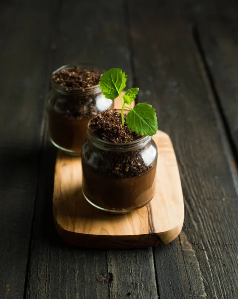 Vegan Chocolate Banana Avocado Mousse Jar Green Sprout Mint Grows — Stock Photo, Image