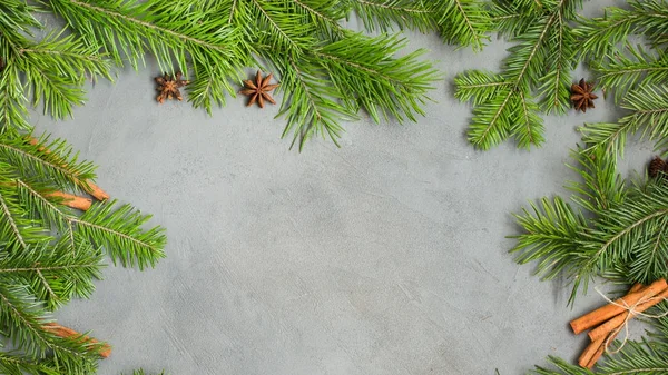 Árvore Natal Temperos Paus Canela Cardamomo Fundo Concreto Cinza Conceito — Fotografia de Stock