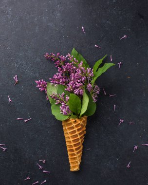 Dondurma külahı siyah bir beton zemin üzerine Lila dalları ile. Taze çiçekler. güzel bir buket çiçek. Uzay kopyalayın. Metin için boş alan görüntüleyin. Metin için yer. Gıda fotoğraf. Düz yatıyordu, en iyi görünümü