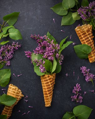 Dondurma külahı siyah bir beton zemin üzerine Lila dalları ile. Taze çiçekler. güzel bir buket çiçek. Uzay kopyalayın. Metin için boş alan görüntüleyin. Metin için yer. Gıda fotoğraf. Düz yatıyordu, en iyi görünümü