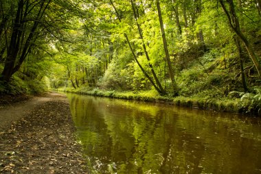 Llangollen kanal ağaçlar yansımaları ile 