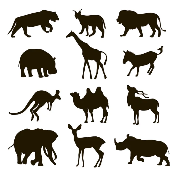 Siluetas negras de un animal africano, león, hipopótamo, canguro, tigre, cebra, camello, ciervo, lince, elefante — Vector de stock