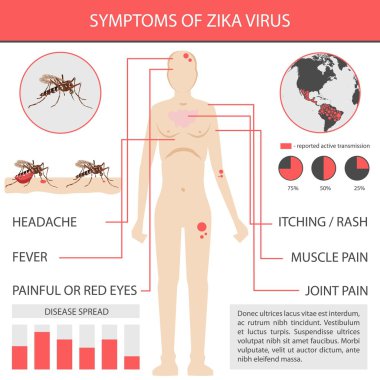 Zika virus infographics with transmission, symptom, prevention and treatment. vector inforgaphic