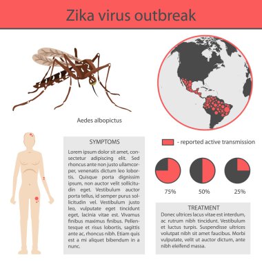 Zika virus infographics with transmission, symptom, prevention and treatment. vector inforgaphic