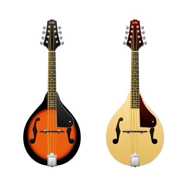 Realistic vector Mandolin isolated on white mandolin Folk music instrument Mini-guitars in front view