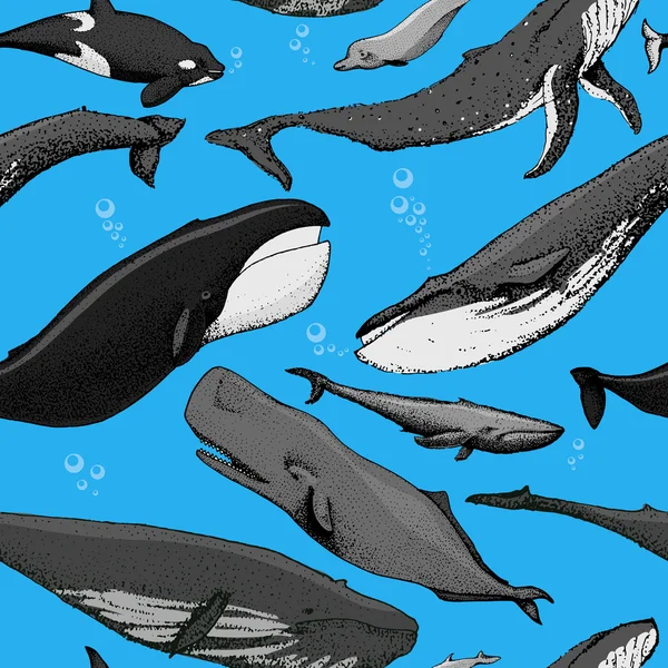 Set di balene disegnate a mano in un modello senza cuciture — Vettoriale Stock
