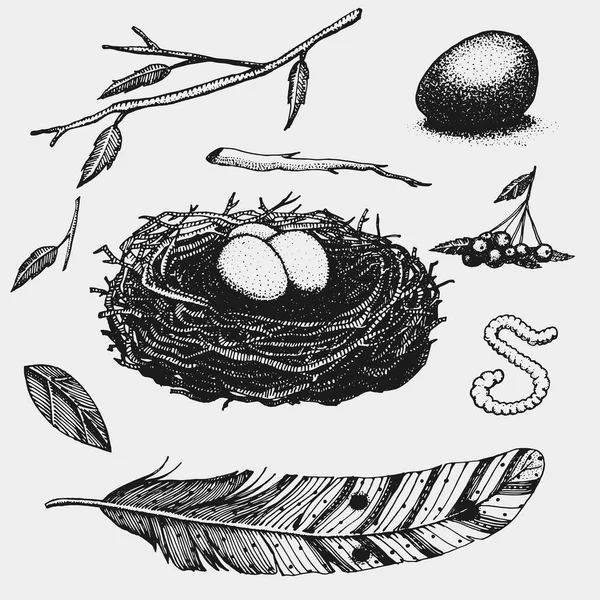 Conjunto de nido dibujado a mano. Se va. Baya. huevo y comida para aves — Vector de stock