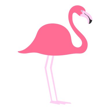 Beyaz arka plan üzerinde güzel vektör illüstrasyon izole düz kuş