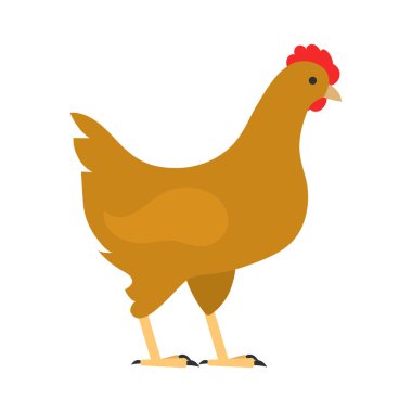 Beyaz arka plan üzerinde güzel vektör illüstrasyon izole düz kuş