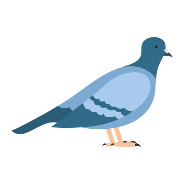 Beyaz arka plan üzerinde güzel vektör illüstrasyon izole düz kuş