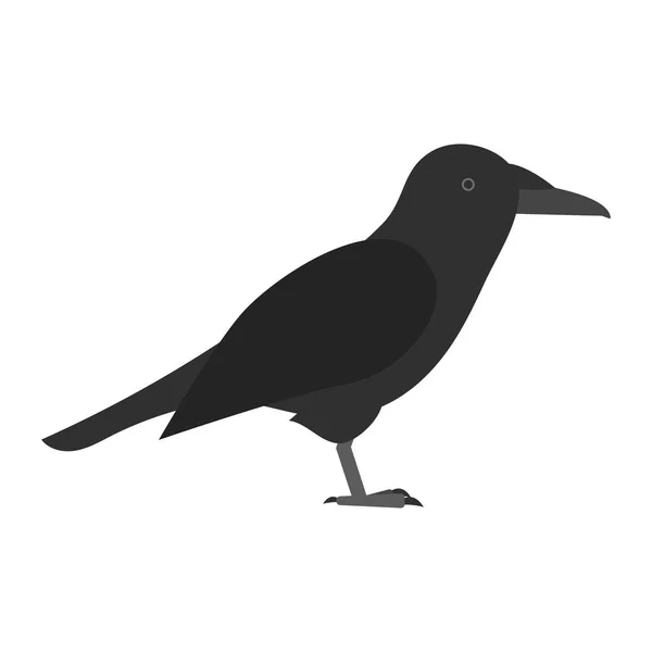 Pájaro plano aislado sobre fondo blanco, hermoso vector ilustración — Vector de stock