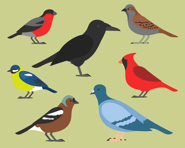 Sada plochých ptáků, izolované na pozadí. různých tropických a domácích ptáků, kreslený styl jednoduché ptáci pro loga. — Stockový vektor