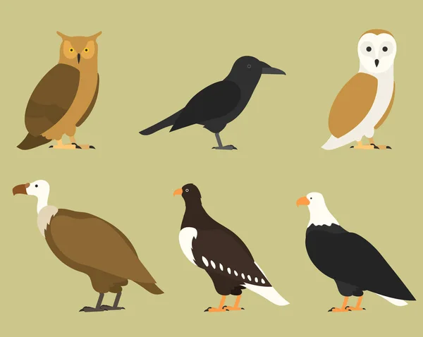 Ensemble d'oiseaux plats, isolés sur le fond. différents oiseaux tropicaux et domestiques, style dessin animé oiseaux simples pour les logos . — Image vectorielle