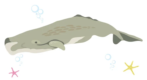 白い背景漫画リアルなクジラに分離されたマッコウクジラ アイコン — ストックベクタ