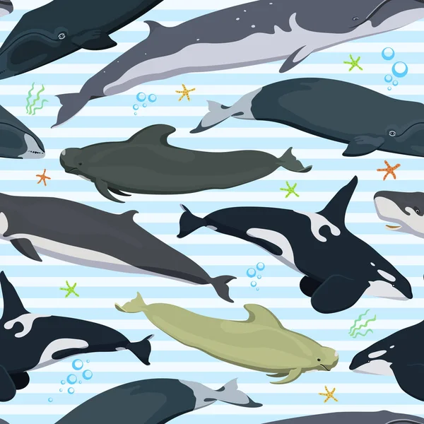 Nahtloses Muster mit Walen, moderne Textur mit Meeressäugern, Finnwal, Pottwal, Bowhead, Orca, Grindwal, Rechter Wal — Stockvektor