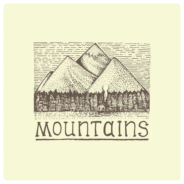 Montagnes avec maison et forêt gravée, illustration vectorielle dessinée à la main en bois style scratchboard, dessin vintage — Image vectorielle