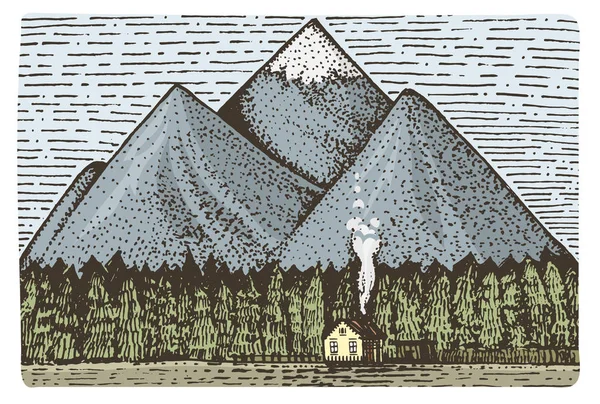 Dağ evi ve orman ile kazınmış, elle çizilmiş vektör çizim gravür scratchboard tarzı, vintage çizim — Stok Vektör