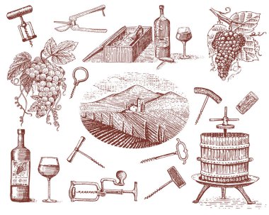 şarap hasat ürünleri, basın, üzüm, üzüm bağları corkscrews camları şişelerde vintage tarzı, oyulmuş elle çizilmiş